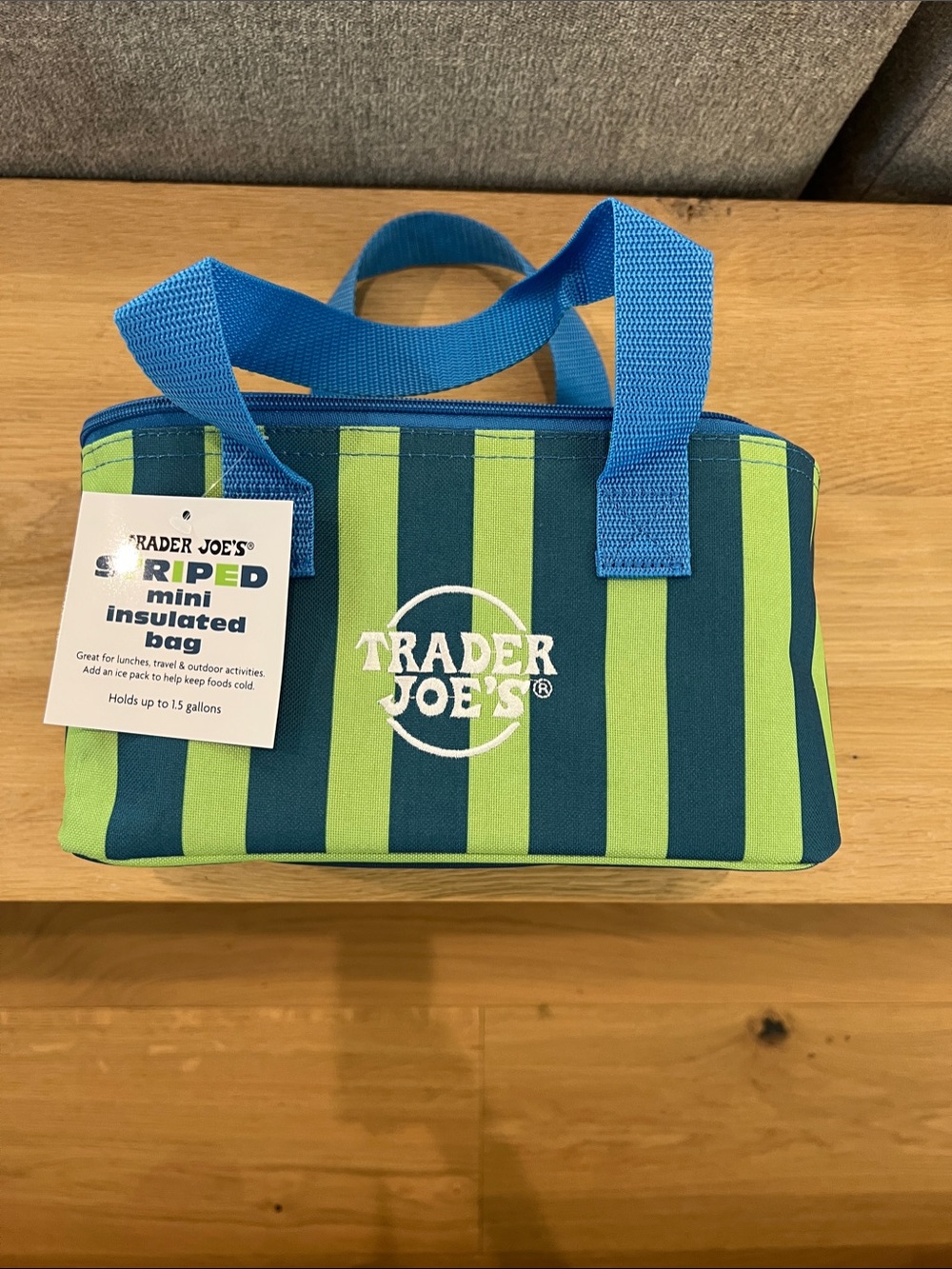 Trader Joe's Striped Mini Insulated Bag - Blue & Lime Green